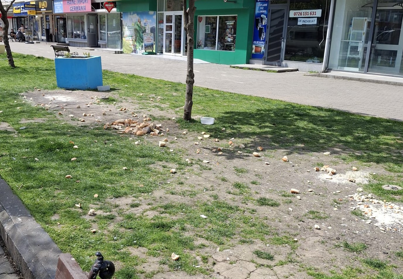 Este important să conștientizăm că pentru amenajarea parcurilor și a spațiilor verzi s-au investit resurse considerabile, din bani publici, pentru binele întregii comunități