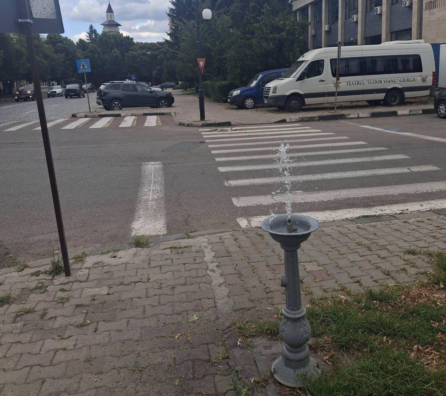 Toate cismelele publice din municipiul Giurgiu sunt complet funcționale