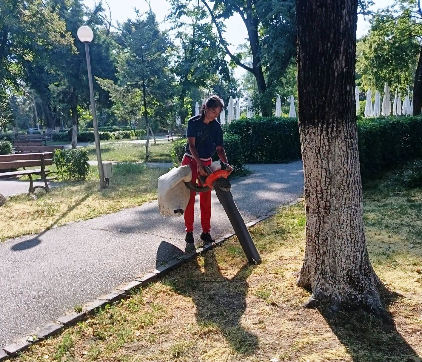 Îngrijirea spațiilor verzi este o activitate constantă a Societății Giurgiu Servicii Locale