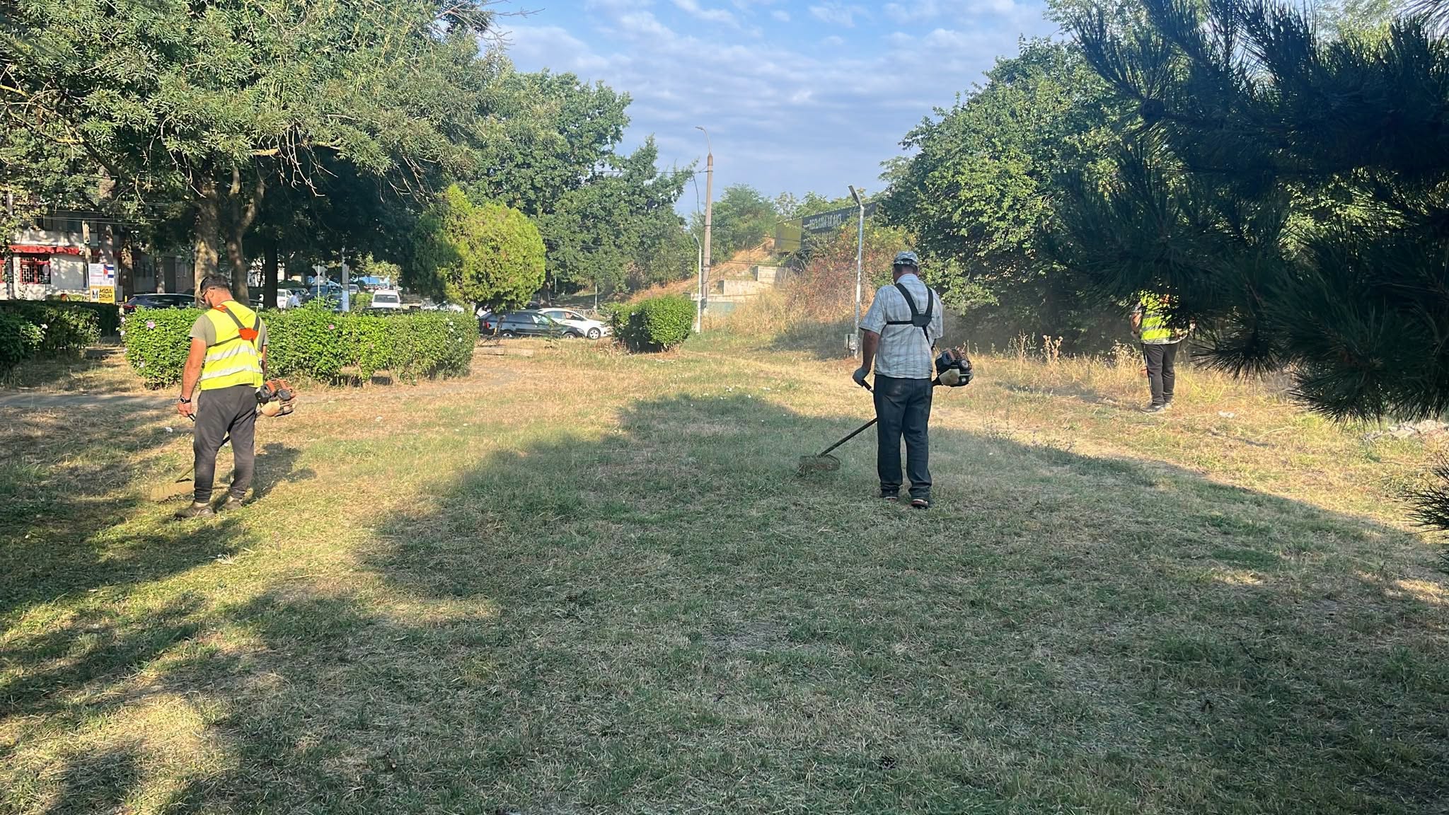 Lucrările de întretinere a spațiilor verzi continuă în oraș, prin Giurgiu Servicii Locale