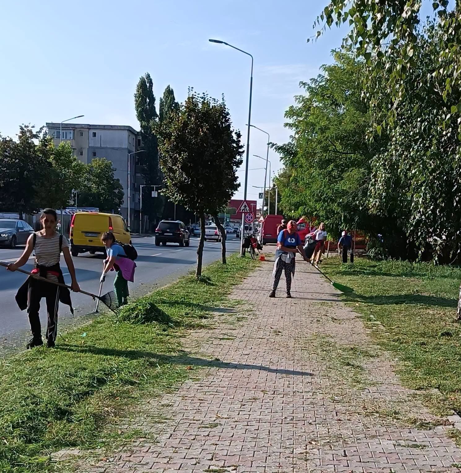 Astăzi, echipele Serviciului Spații Verzi – Parcuri au intervenit în cartierul CFR, ansamblul 335 și pe bulevardul Mihai Viteazul